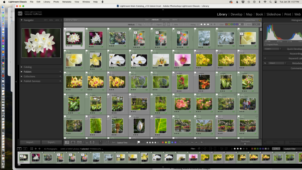 Lightroom Classic Learning Center Series-All 4 Lessons